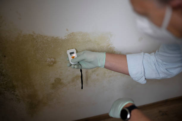 Best Residential Mold Inspection & Testing  in Crystal Springs, MS